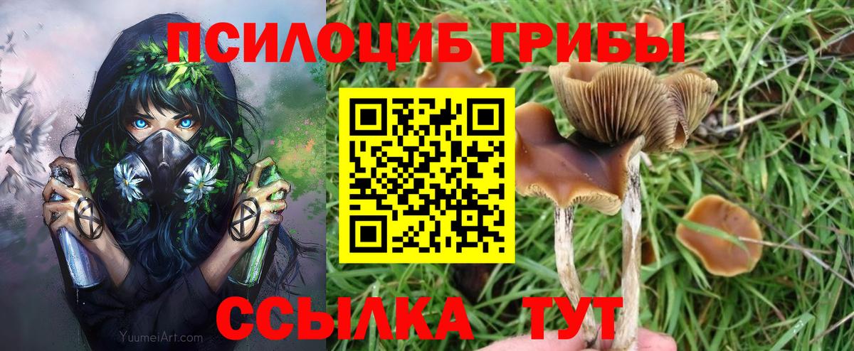 Псилоцибиновые грибы мицелий  Галлюциногенные грибы Cubensis  Набережные Челны  Вход с VPN 