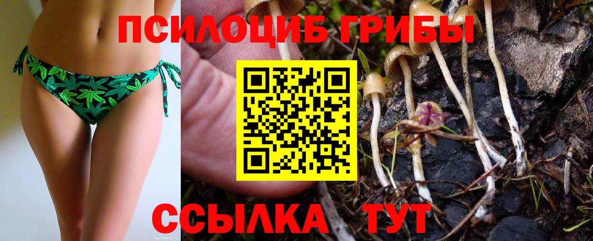 Псилоцибиновые грибы MAGIC MUSHROOMS Набережные Челны